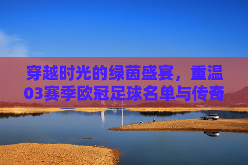 穿越时光的绿茵盛宴,重温03赛季欧冠足球名单与传奇