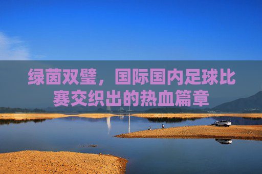 绿茵双璧,国际国内足球比赛交织出的热血篇章