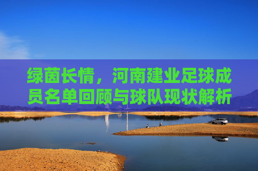 绿茵长情,河南建业足球成员名单回顾与球队现状解析