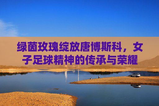 绿茵玫瑰绽放唐博斯科,女子足球精神的传承与荣耀
