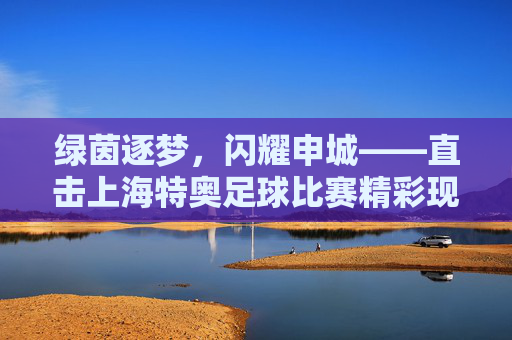 绿茵逐梦,闪耀申城——直击上海特奥足球比赛精彩现场