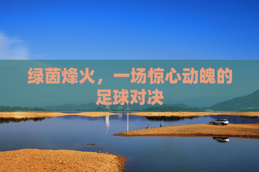 绿茵烽火,一场惊心动魄的足球对决