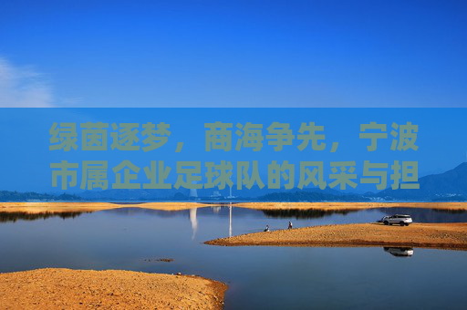 绿茵逐梦,商海争先,宁波市属企业足球队的风采与担当