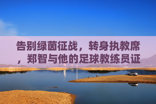 告别绿茵征战,转身执教席,郑智与他的足球教练员证