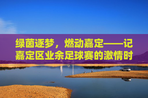 绿茵逐梦,燃动嘉定——记嘉定区业余足球赛的激情时刻
