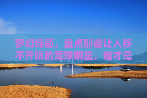 梦幻绿茵,盘点那些让人移不开眼的足球明星,谁才是颜值天花板?