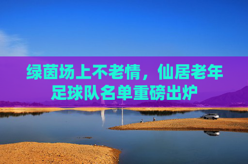 绿茵场上不老情,仙居老年足球队名单重磅出炉