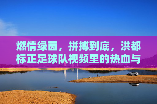 燃情绿茵，拼搏到底，洪都标正足球队视频里的热血与荣耀