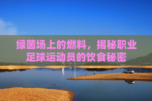 绿茵场上的燃料，揭秘职业足球运动员的饮食秘密