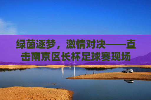 绿茵逐梦,激情对决——直击南京区长杯足球赛现场