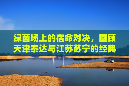 绿茵场上的宿命对决,回顾天津泰达与江苏苏宁的经典足球赛