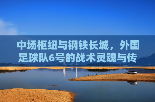 中场枢纽与钢铁长城,外国足球队6号的战术灵魂与传奇色彩