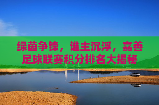 绿茵争锋,谁主沉浮,嘉善足球联赛积分排名大揭秘