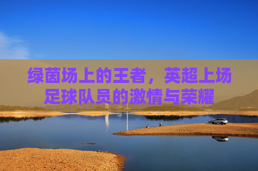 绿茵场上的王者,英超上场足球队员的激情与荣耀