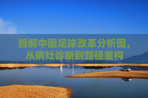 拆解中国足球改革分析图,从病灶诊断到路径重构