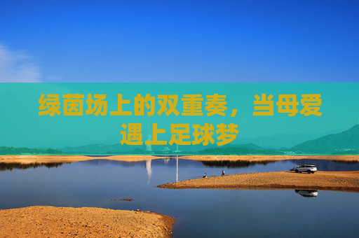 绿茵场上的双重奏,当母爱遇上足球梦