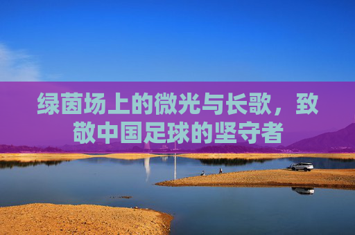 绿茵场上的微光与长歌,致敬中国足球的坚守者
