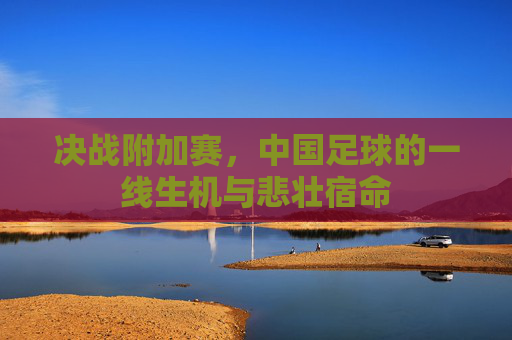 决战附加赛,中国足球的一线生机与悲壮宿命
