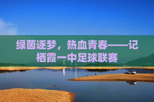 绿茵逐梦,热血青春——记栖霞一中足球联赛