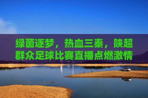绿茵逐梦,热血三秦,陕超群众足球比赛直播点燃激情