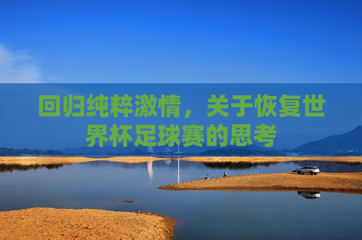 回归纯粹激情,关于恢复世界杯足球赛的思考