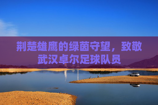 荆楚雄鹰的绿茵守望,致敬武汉卓尔足球队员