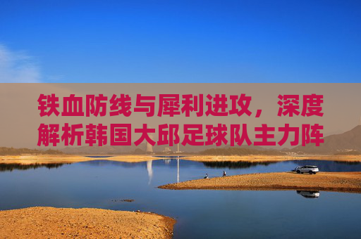 铁血防线与犀利进攻,深度解析韩国大邱足球队主力阵容