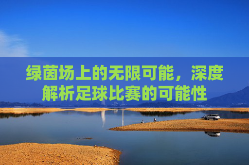 绿茵场上的无限可能,深度解析足球比赛的可能性