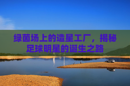 绿茵场上的造星工厂，揭秘足球明星的诞生之路