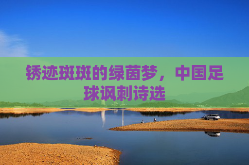 锈迹斑斑的绿茵梦,中国足球讽刺诗选