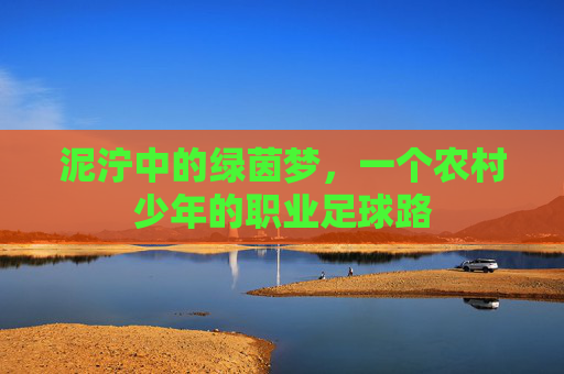 泥泞中的绿茵梦,一个农村少年的职业足球路