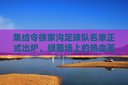 集结令徐家沟足球队名单正式出炉,绿茵场上的热血英雄集结!