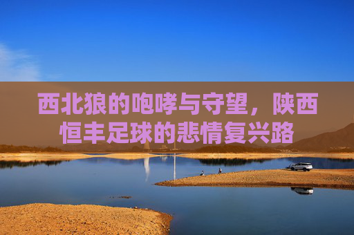 西北狼的咆哮与守望,陕西恒丰足球的悲情复兴路