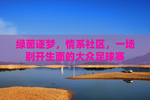 绿茵逐梦,情系社区,一场别开生面的大众足球赛