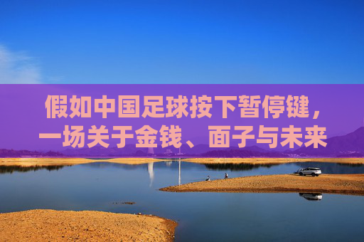 假如中国足球按下暂停键,一场关于金钱、面子与未来的大考
