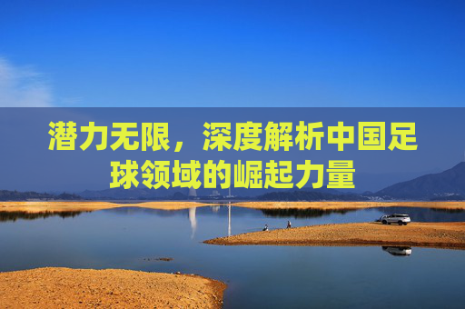 潜力无限,深度解析中国足球领域的崛起力量