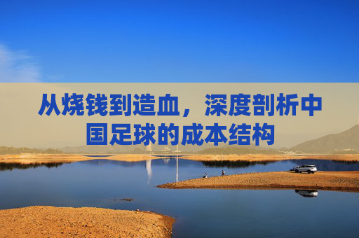 从烧钱到造血,深度剖析中国足球的成本结构