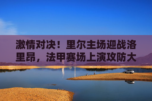 激情对决!里尔主场迎战洛里昂,法甲赛场上演攻防大战