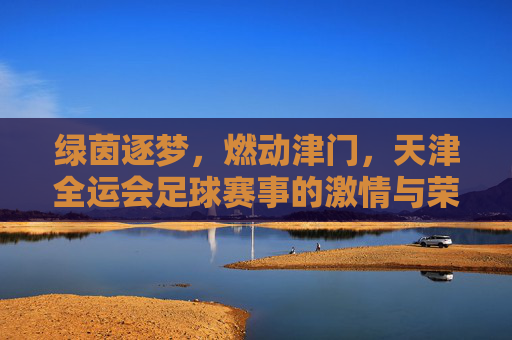 绿茵逐梦,燃动津门,天津全运会足球赛事的激情与荣耀