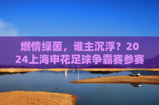 燃情绿茵,谁主沉浮?2024上海申花足球争霸赛参赛名单正式公布