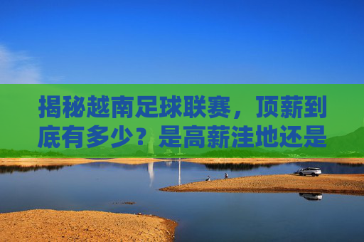 揭秘越南足球联赛,顶薪到底有多少?是高薪洼地还是人才温床?