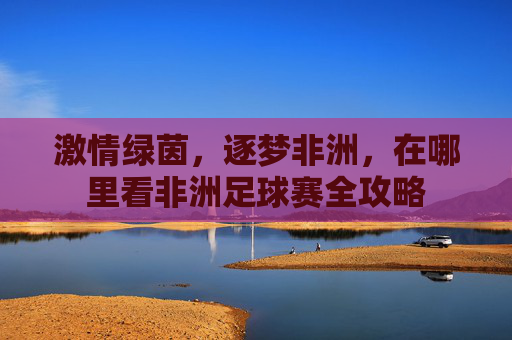 激情绿茵,逐梦非洲,在哪里看非洲足球赛全攻略