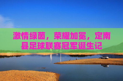 激情绿茵,荣耀加冕,定南县足球联赛冠军诞生记