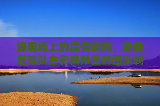 绿茵场上的温情瞬间,欧美足球队合影视频里的团队羁绊