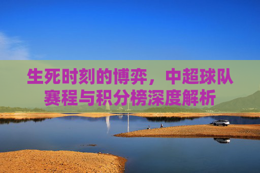 生死时刻的博弈,中超球队赛程与积分榜深度解析