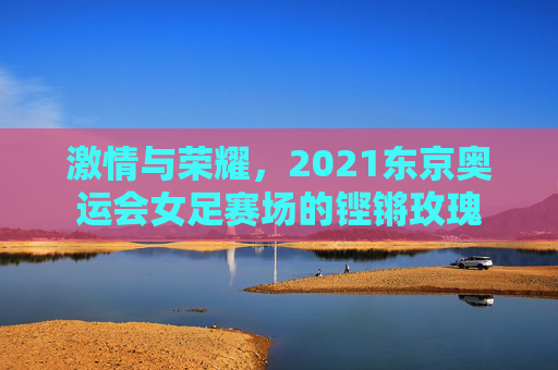 激情与荣耀,2021东京奥运会女足赛场的铿锵玫瑰