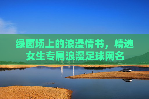 绿茵场上的浪漫情书,精选女生专属浪漫足球网名