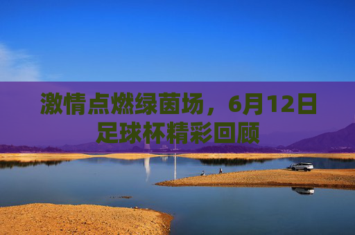 激情点燃绿茵场,6月12日足球杯精彩回顾