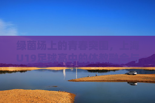 绿茵场上的青春突围,上海U19足球高中的体教融合与未来展望