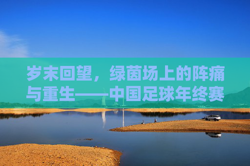岁末回望，绿茵场上的阵痛与重生——中国足球年终赛综述